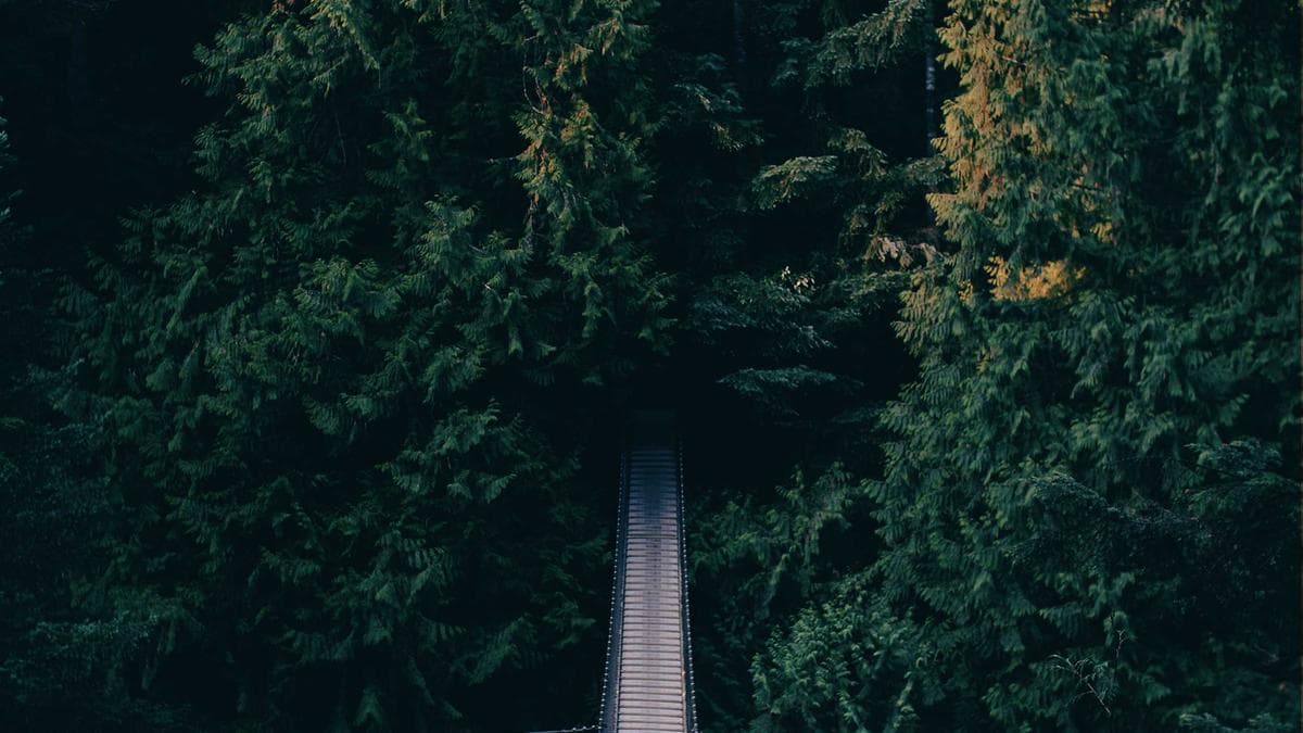 The 4-question post-purchase survey worth more than analytics