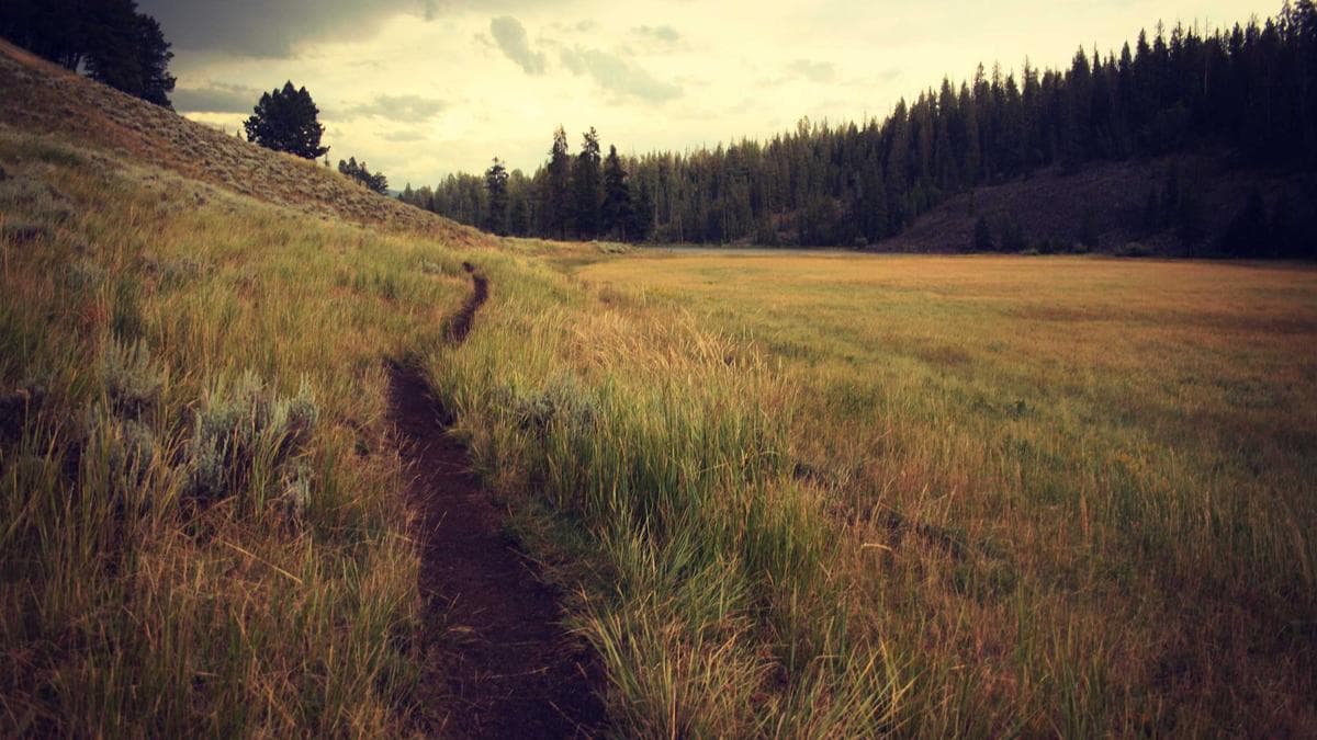 TikTok Shop integration with Shopify: an honest 90-day review