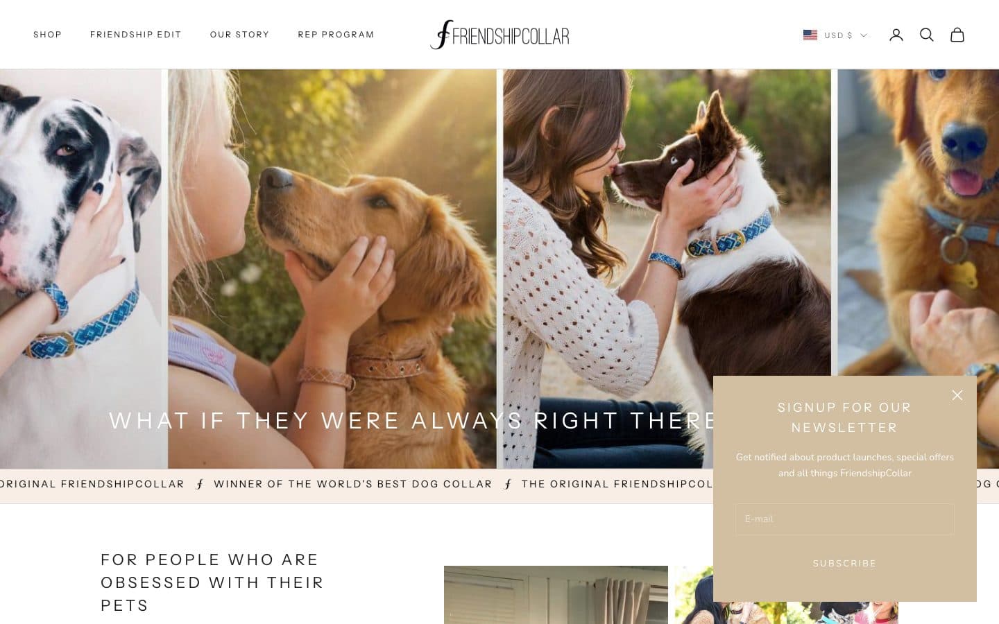 FriendshipCollar storefront preview